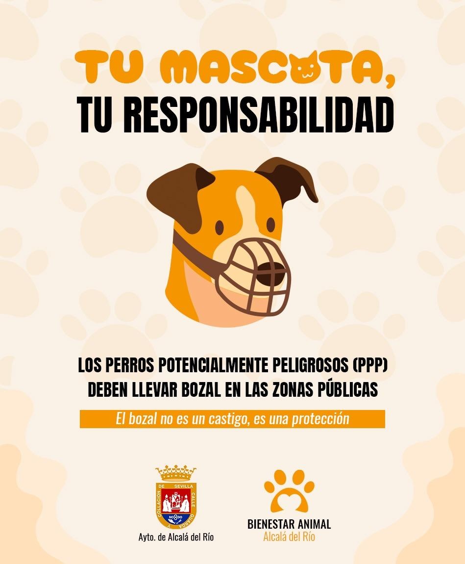 CAMPAN¿A MASCOTAS 3