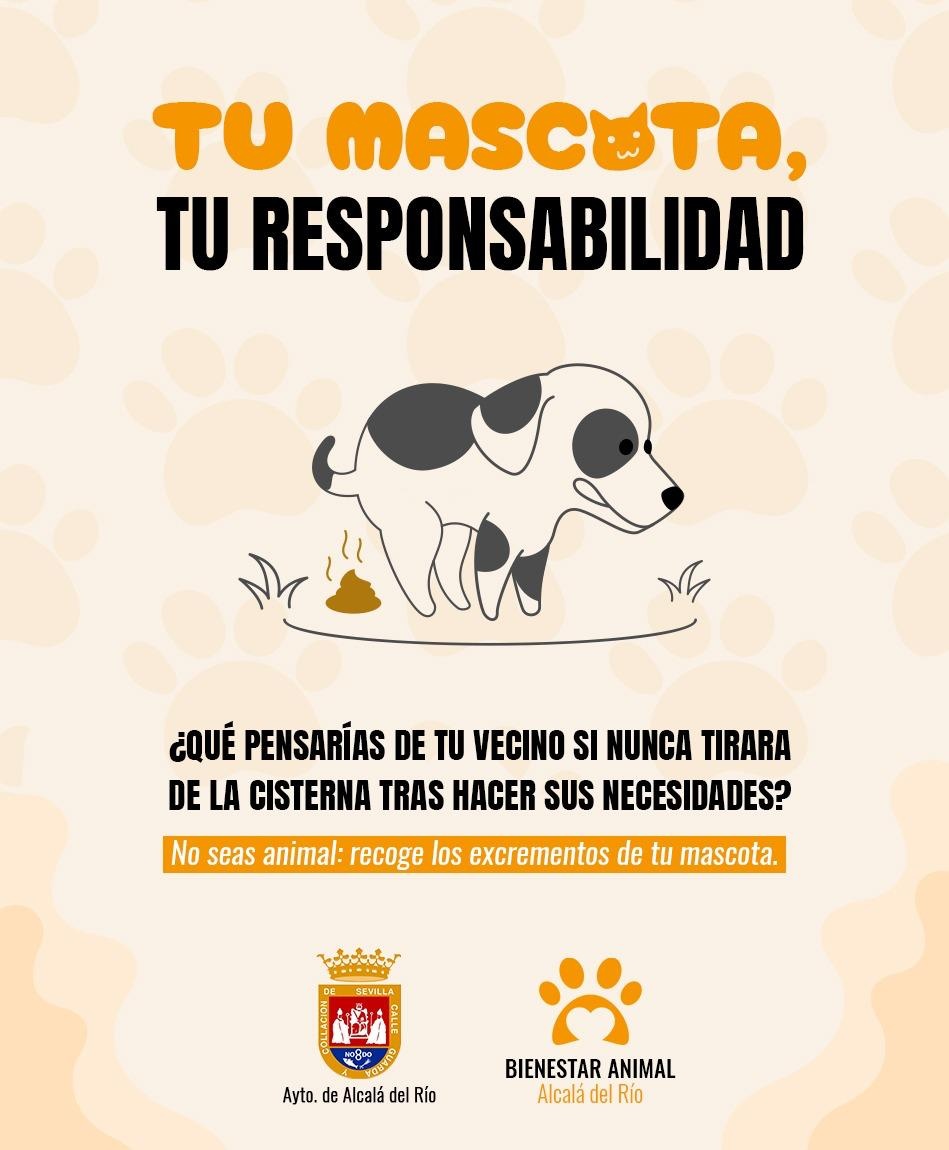 CAMPAN¿A MASCOTAS 4