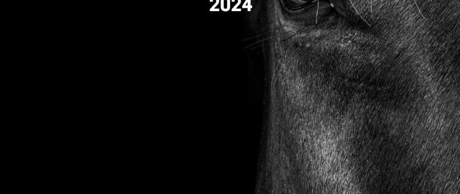 PASEO DE CABALLOS 2024