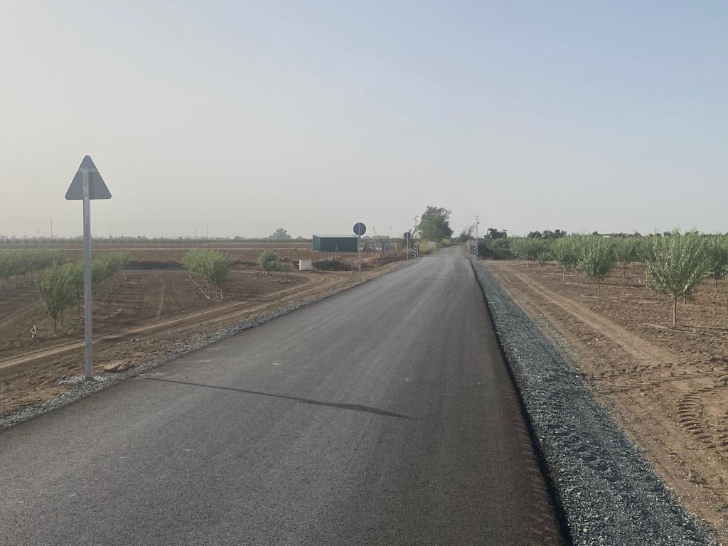 caminopedroespiga (1)