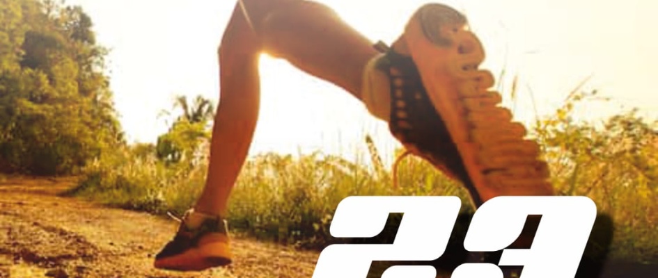 xiiiedicioncrossesquievl