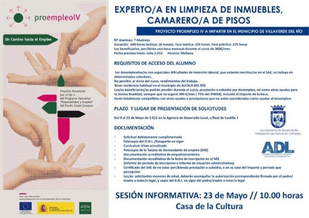 Curso experto en limipeza de inmuebles