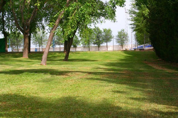 Pisicina Municipal (2)