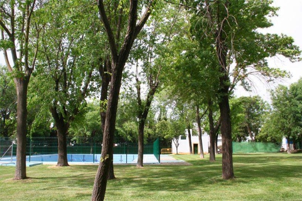 Pisicina Municipal (4)