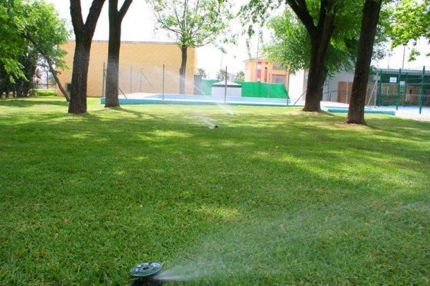 Pisicina Municipal (5)