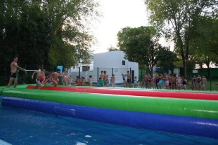 Clausura Natación (11)