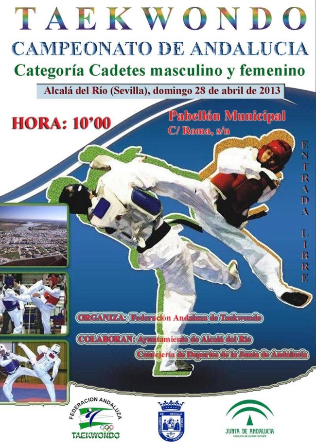 CARTEL TAEKWONDO ALCALA DEL RIO
