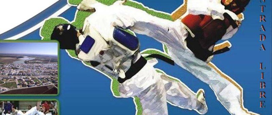 0086_CARTEL_TAEKWONDO_ALCALA_DEL_RIO.jpg