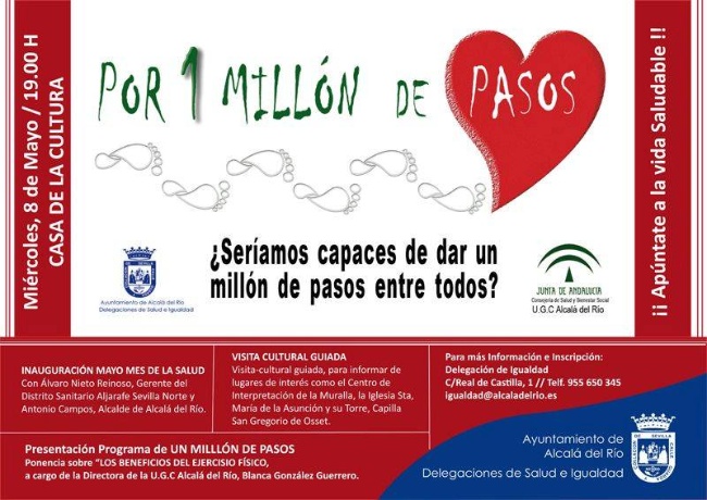 Un millón de pasos 2013