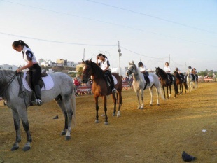 006 Exhibición (18)