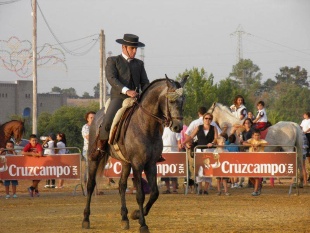 006 Exhibición (20)