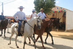 0007 Paseo de Caballos (1)