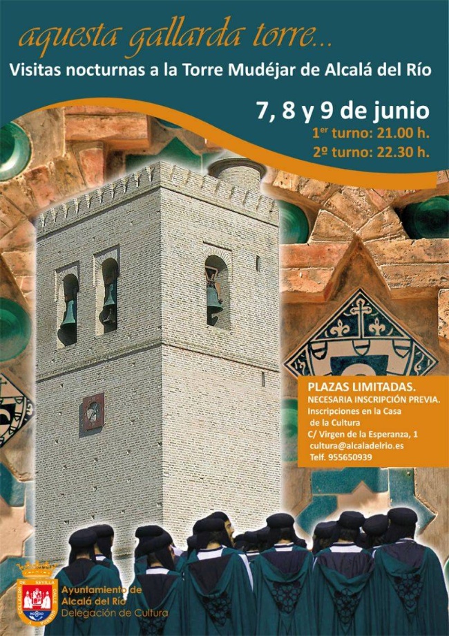 Cartel Visitas a la Torre