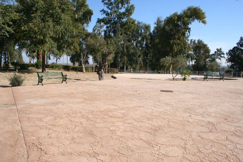 Parque San Ignacio (2)