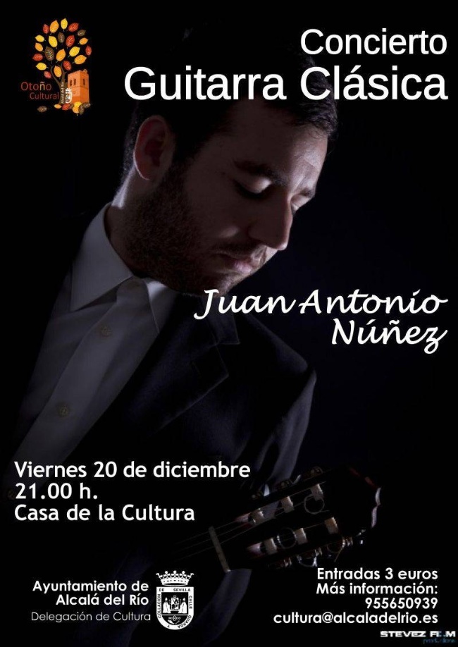 cartelguitarranúñez2013