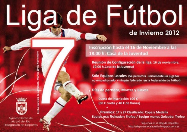 Liga de fútbol 7