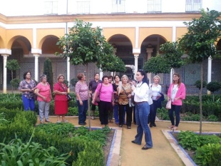 Conociendo Sevilla (2)