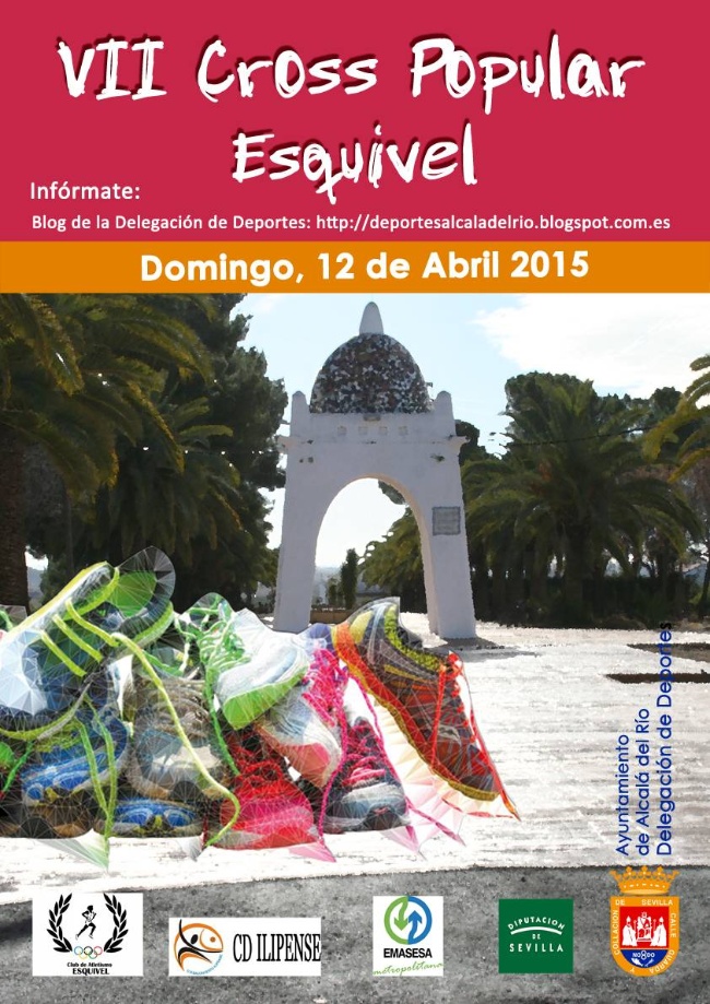 Cartel VI CROSS ESQUIVEL 2015