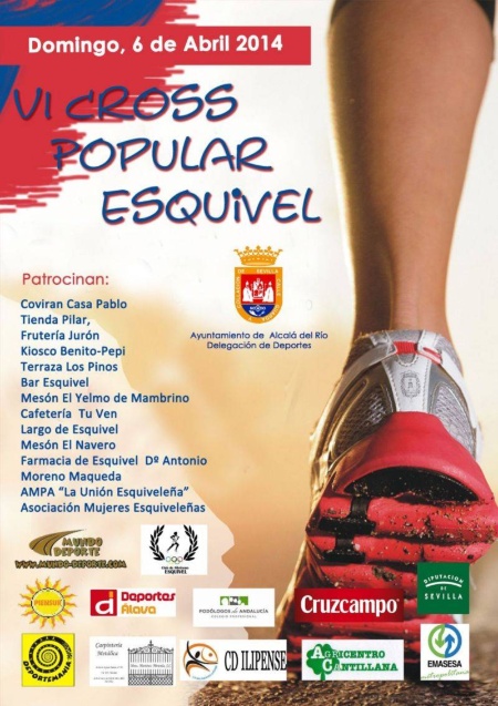 Cartel VI CROSS ESQUIVEL 2013
