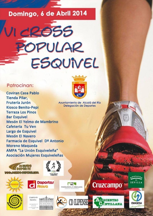 Cartel VI CROSS ESQUIVEL 2013