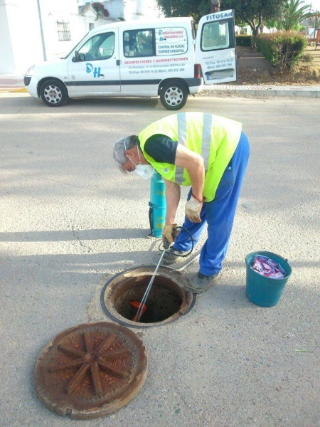 campaña de desintectación