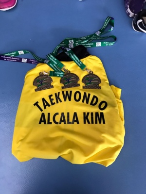 campeonato taekwodo andalucia (2)