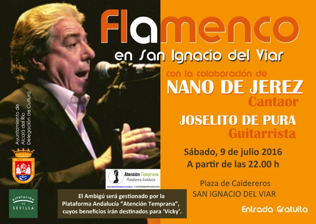 Festival Flamenco San Ignacio 2016