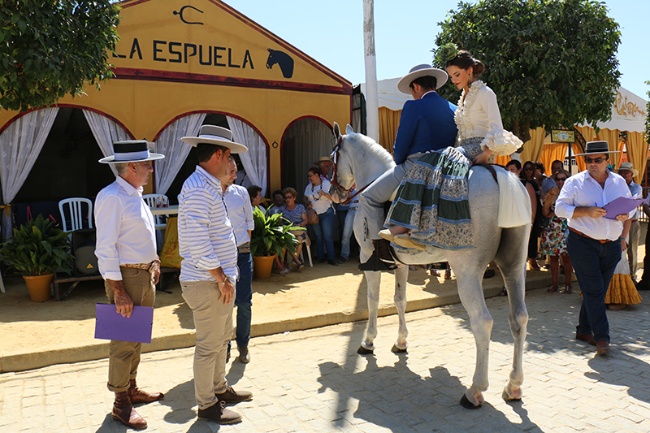 concurso caballos