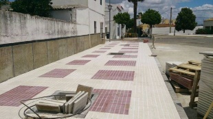 Rotonsa San Ignacio del Viar (11)