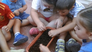 Escuela de Verano (3)