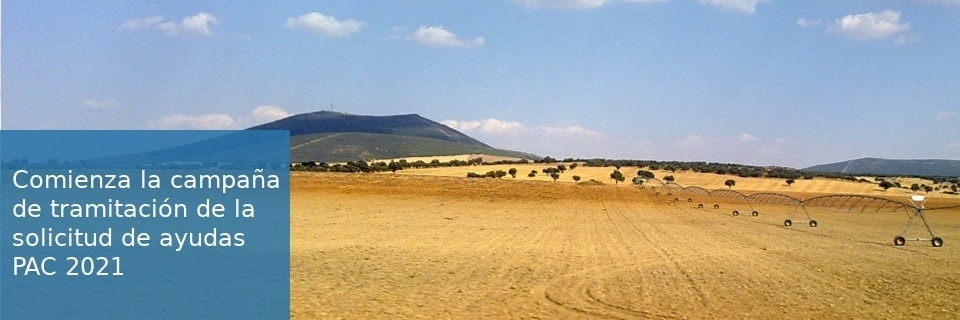 146137852_2850365451893542_6893414272420669587_n