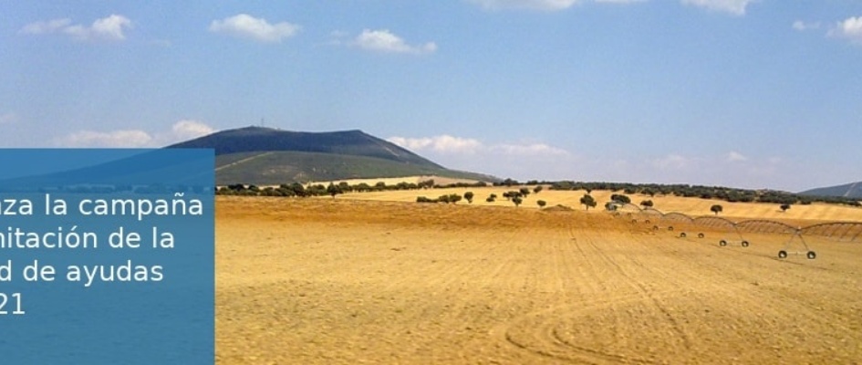 146137852_2850365451893542_6893414272420669587_n