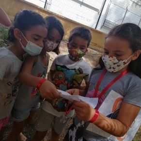 238166937_116172780756641_6682094063430047003_n