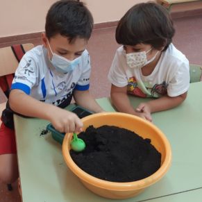 238187167_116106090763310_6607864867951053593_n