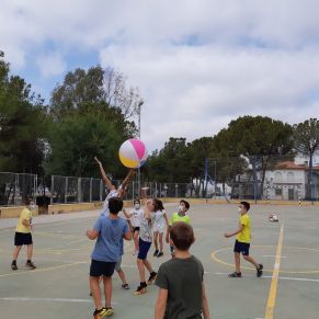 238225885_116110944096158_5843749670232160150_n