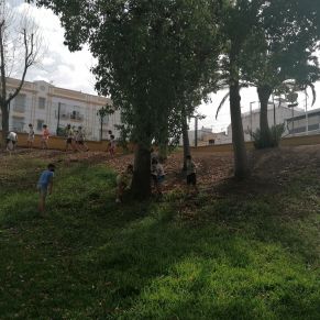 238928851_116174824089770_230275562394059375_n