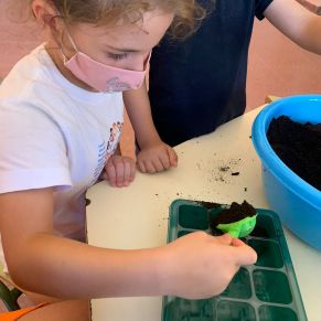 239384283_116105994096653_3371756125645501299_n