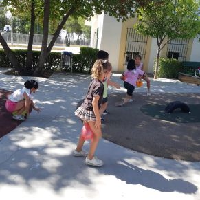 239463631_116107537429832_311365289323017920_n