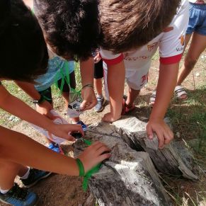 239519549_116174044089848_5777035871445621371_n