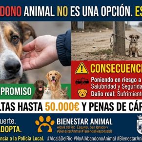 Campaña contra el abandono animal.