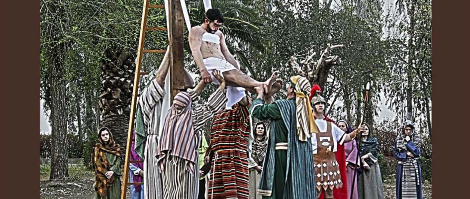 bis cartel pasion 2020 (1)