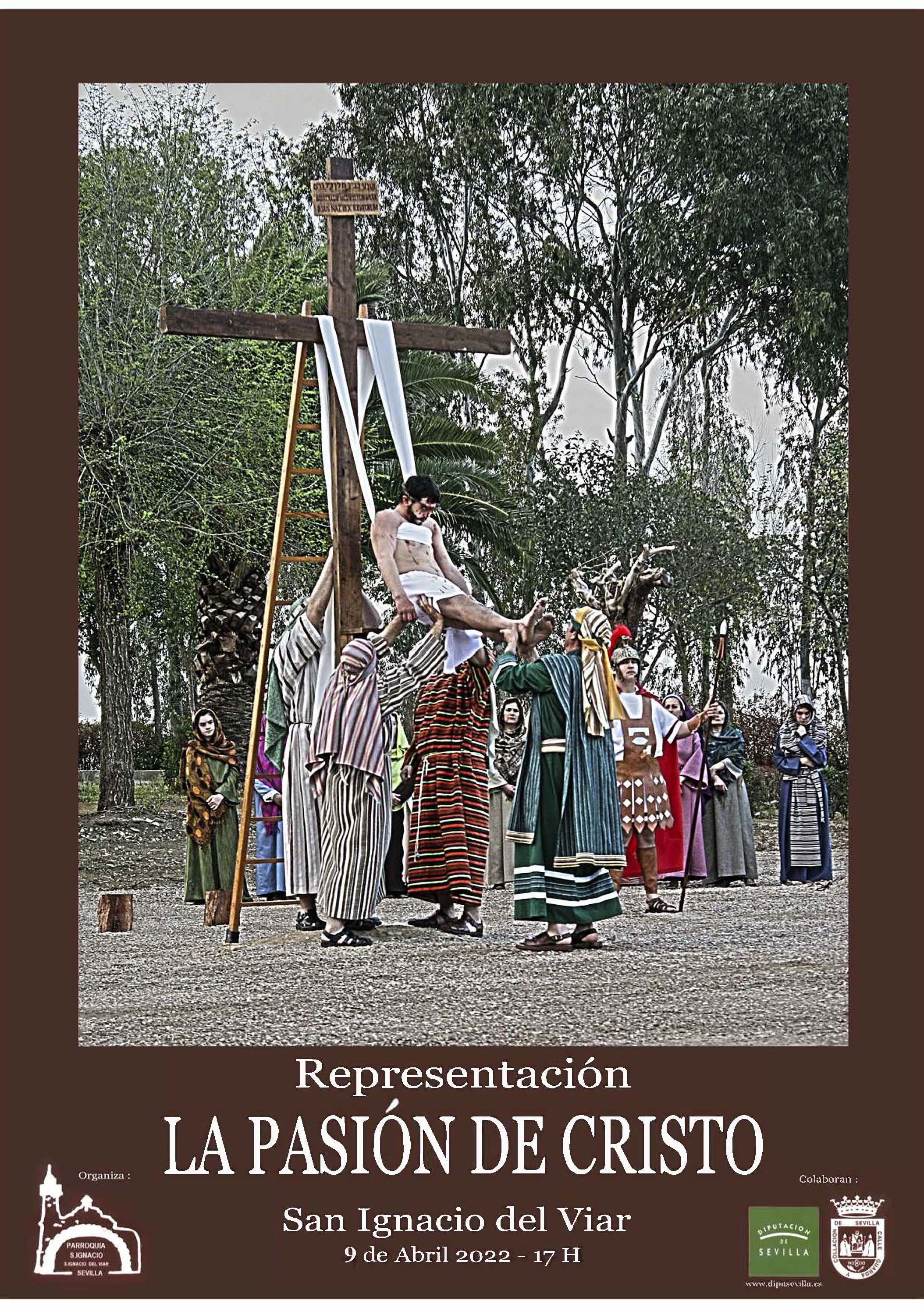 bis cartel pasion 2020 (1)