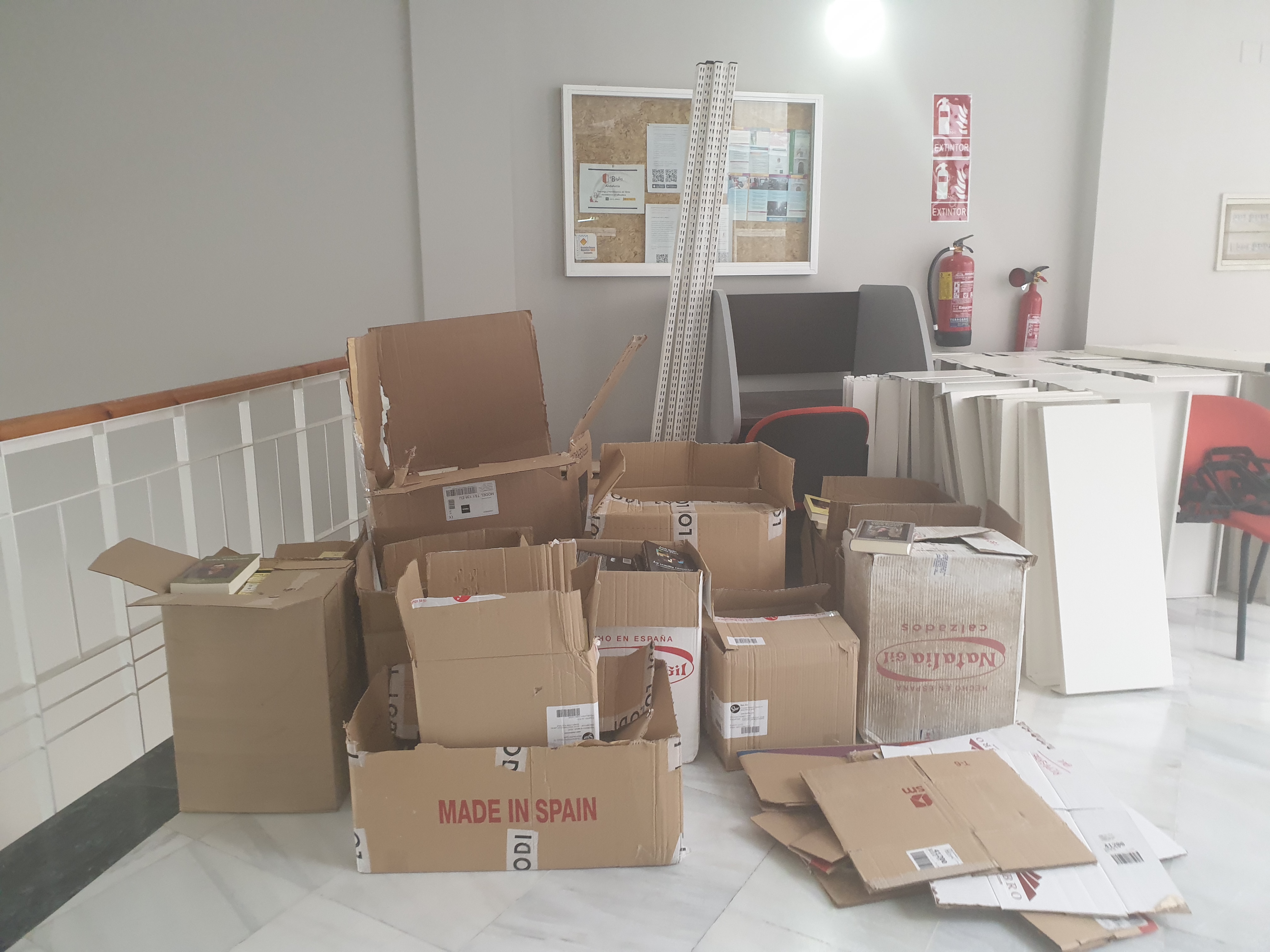 donacionlibroscanodominguez (1)